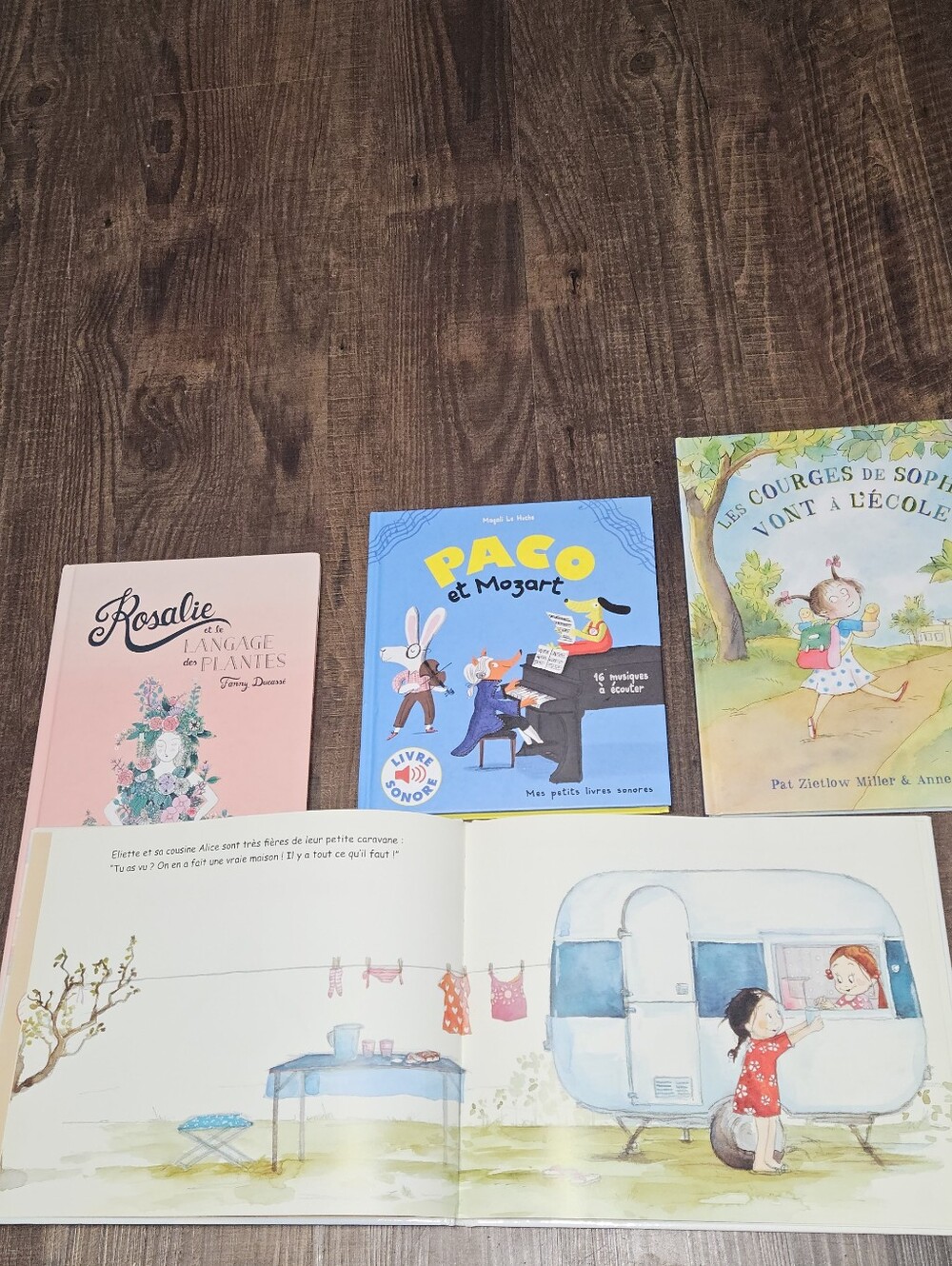 French Book Bundle - Picture 5 of 10